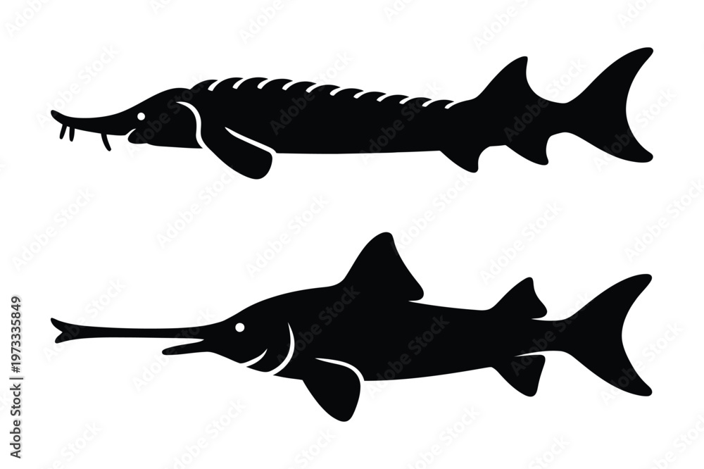 Obraz premium Silhouette vector of sturgeon and swordfish