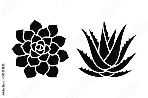 Black silhouette vector of echeveria and aloe vera plants
