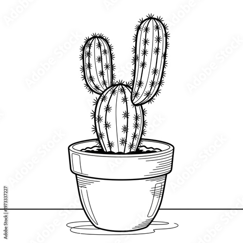 A cactus in a pot