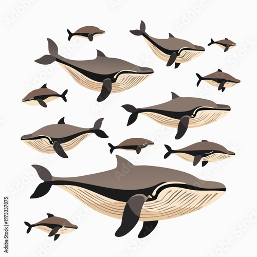 Whales and dolphins swimming together ocean.