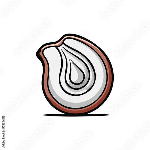 Oyster Shell Illustration Closeup View.