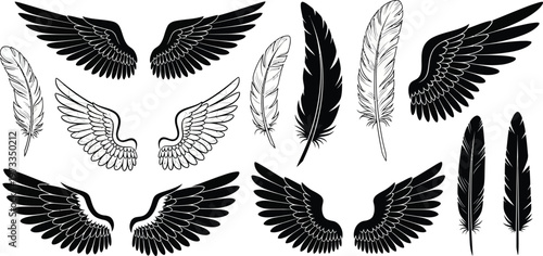 Collection of detailed black and white wings and feathers isolated on a plain white background for graphic design.