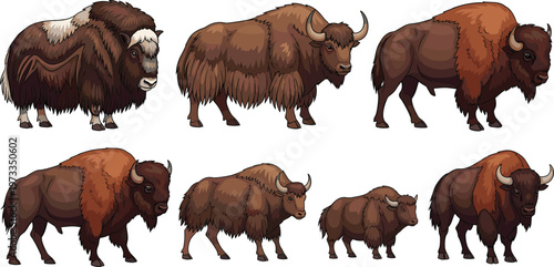 Yak and Bison Vector Illustration Set Featuring Diverse Wild Bovines with Detailed Fur Textures in Natural Wildlife Style for Animal, Nature, and Fauna Design Use.