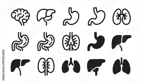 Internal organs icon collection black silhouette anatomy healthcare and biology design elements