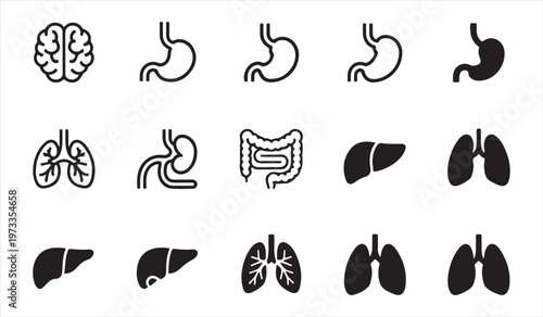 Human organ silhouettes set with brain lungs liver kidneys stomach and intestines medical illustration