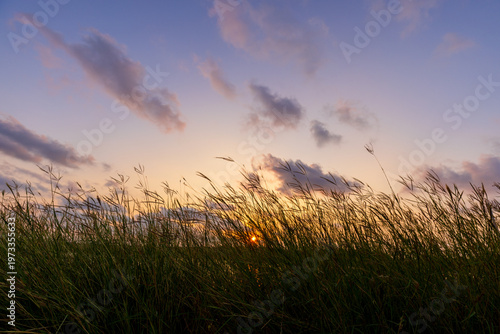 Fotografie Golden Sunset Over Calm Lake with Wild Grass Silhouette,A breathtaking sunset scene featuring a vibrant orange sun dipping below the horizon of a tranquil lake, with tall wild grass silhouettes