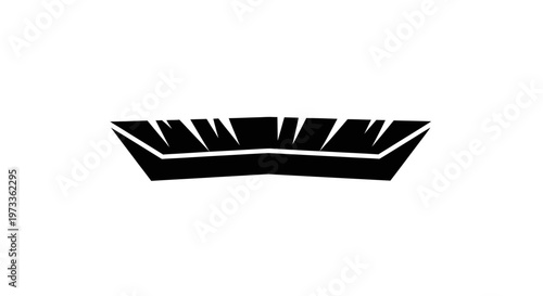 Black and white feather closeup detail.