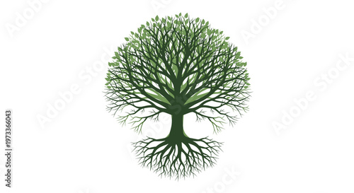 A bright, pristine white background evokes feelings of purity, simplicity, and calm. Ideal for product displays, minimalist designs, or website backgr