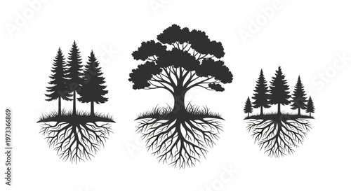 A stark black and white illustration depicting strong tree roots. Conveys growth, stability, and connection, ideal for marketing materials about found