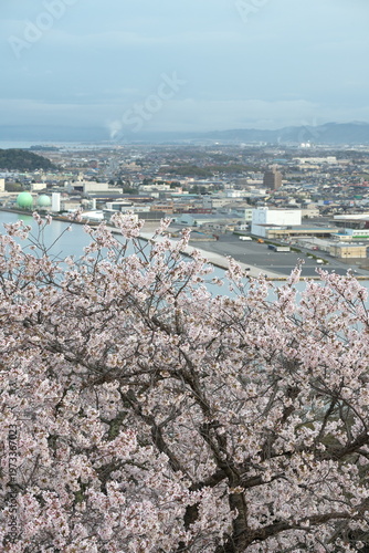 鳥取県米子市の春の米子城跡
