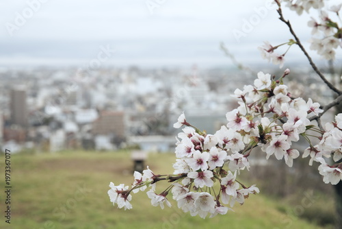 鳥取県米子市の春の米子城跡