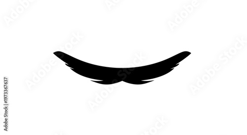 Black False Eyelashes Cosmetic Enhancement.