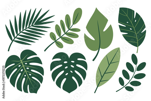 A collection of stylized tropical leaves in various shades of green for design purposes isolated on white background