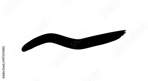 Black paint brush stroke mark.