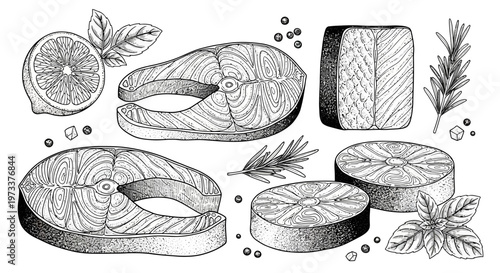 Vintage engraving of salmon fish steaks and fillets with lemon and herbs. Hand-drawn seafood set including rosemary, basil, and peppercorns on white background.