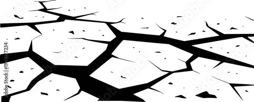 Black and white cracked earth surface abstract pattern