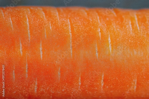 close-up of vibrant orange carrot skin with fine vertical root scars and textured powdery surface conveying fresh crispness
