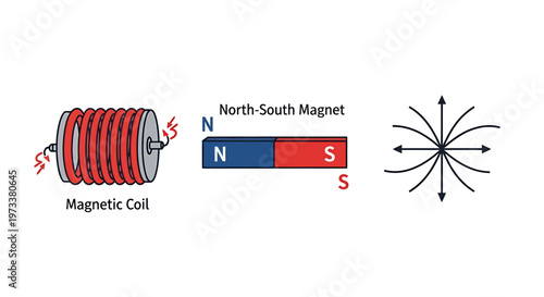 Magnetic coil and bar magnet.
