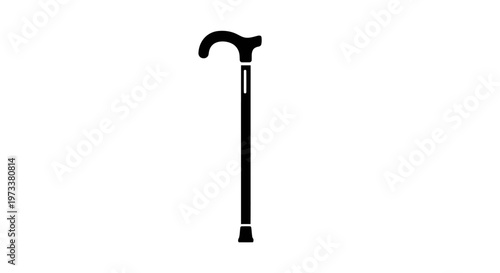 Black Walking Stick for Support.