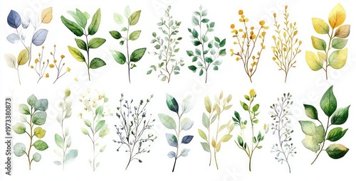 delicate watercolor collection of green and yellow leaf sprigs, tiny berry clusters and branches, soft botanical illustrations evoking calm fresh natural serenity