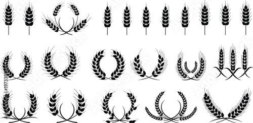 Set of wheat ears and laurel wreath silhouettes, black vector collection of agricultural grain symbols, decorative farming emblem elements isolated