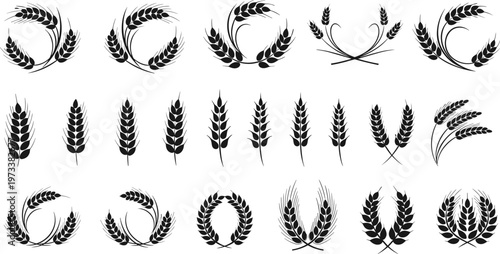 Wheat ear and laurel wreath collection set featuring grain agriculture symbols for organic farming, bakery branding, food labels and rustic design
