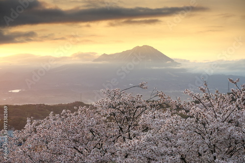 鳥取県米子市の春の米子城跡からの伯耆大山の夜明け