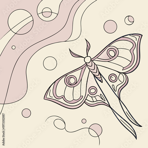 A moth with beautiful wings and a long tail