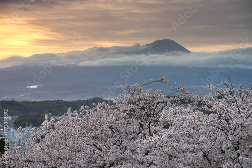 鳥取県米子市の春の米子城跡からの伯耆大山の夜明け