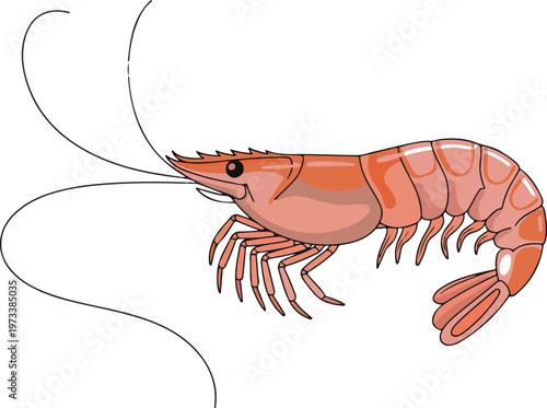 Realistic pink shrimp seafood ingredient isolated on transparent background for culinary and food use.