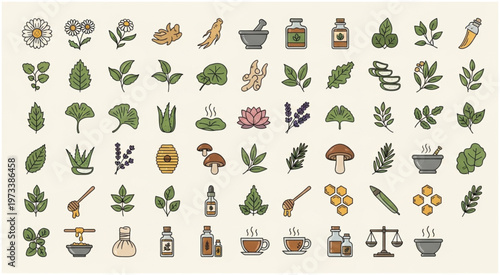 Collection of herbal medicine icons representing natural remedies and wellness.