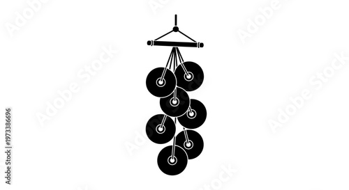 Black vinyl records on hanger.
