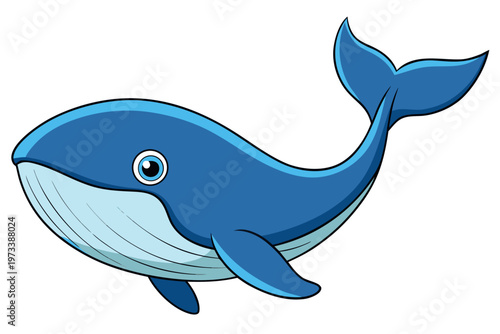 Blue whale swimming calmly in simple white backdrop