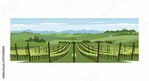 Rolling green hills under a blue sky, with orderly rows of grapevines stretching into the distance