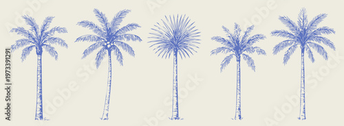 Various Palm tree set. Monochrome tropical plants. Coconut, beach palms. Abstract blue silhouettes. Hand drawn modern Vector illustration. Isolated design elements. Print, sticker templates
