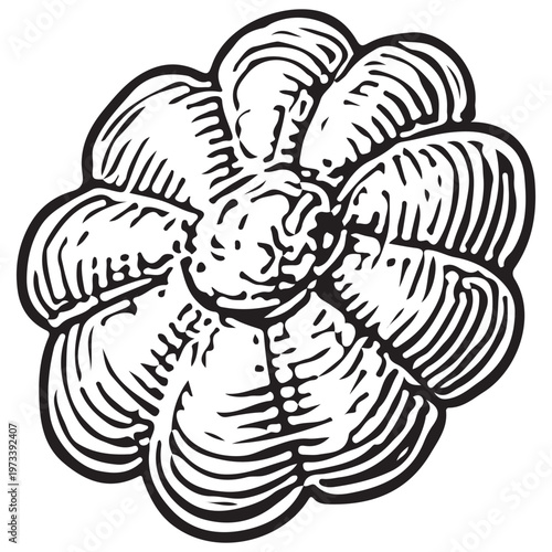 Decorative Flower Shaped Seashell for Coastal Ornament, Marine Design, and Beach Theme