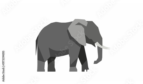Photography Geometric elephant flat vector illustration modern design