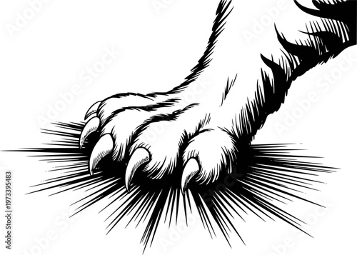 Fierce Tiger Paw with Sharp Claws Extended a White Background animal