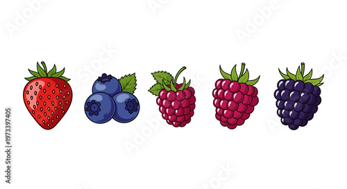 Colorful Berries Lineup Fresh Fruit.