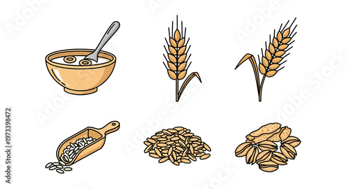 Wheat grains and flour ingredients.