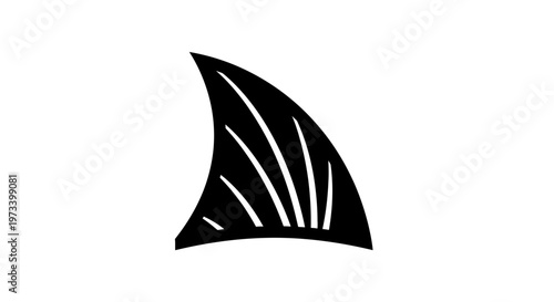 Black Shark Fin Shape Design.