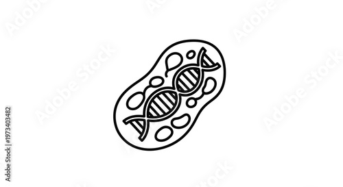 DNA helix inside a cell, representing genetics and biotechnology