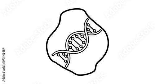 DNA Helix Inside Cell Nucleus Outline - Genetic Research and Biology Concept