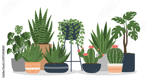 Diverse collection of indoor houseplants including various cacti, succulents, and tropical leaves in stylish ceramic and terracotta pots.