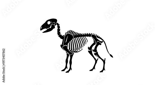Dinosaur skeleton standing on ground.