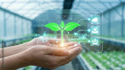 Hands holding plant with digital growth symbols in greenhouse at midday