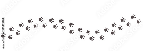 Paw print of a dog or cat. Cute silhouette footpath pet. Wavy walk, marks. Steps of running or walking animal. Curved path of paw prints