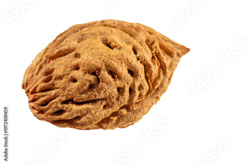 Peach pit isolated on white background.