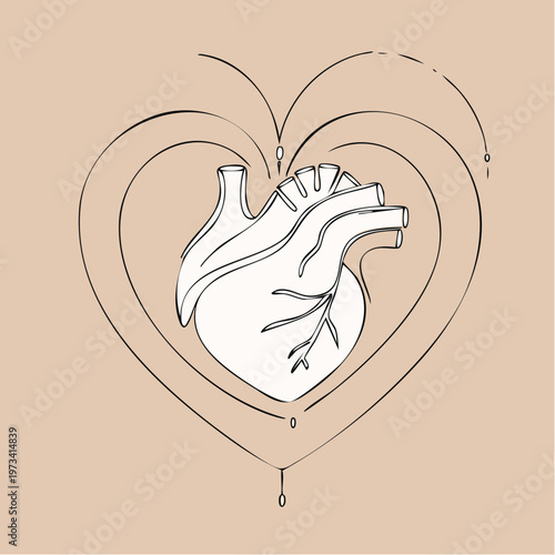 Anatomical heart illustration with decorative heart-shaped outlines.