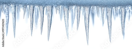 Translucent icicles hanging from a frost-covered edge against a stark white background, evoking cold, serene stillness